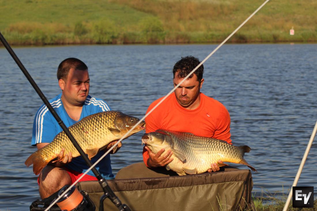 cenusaru 6 - 9 iulie 2017 - 3.jpg